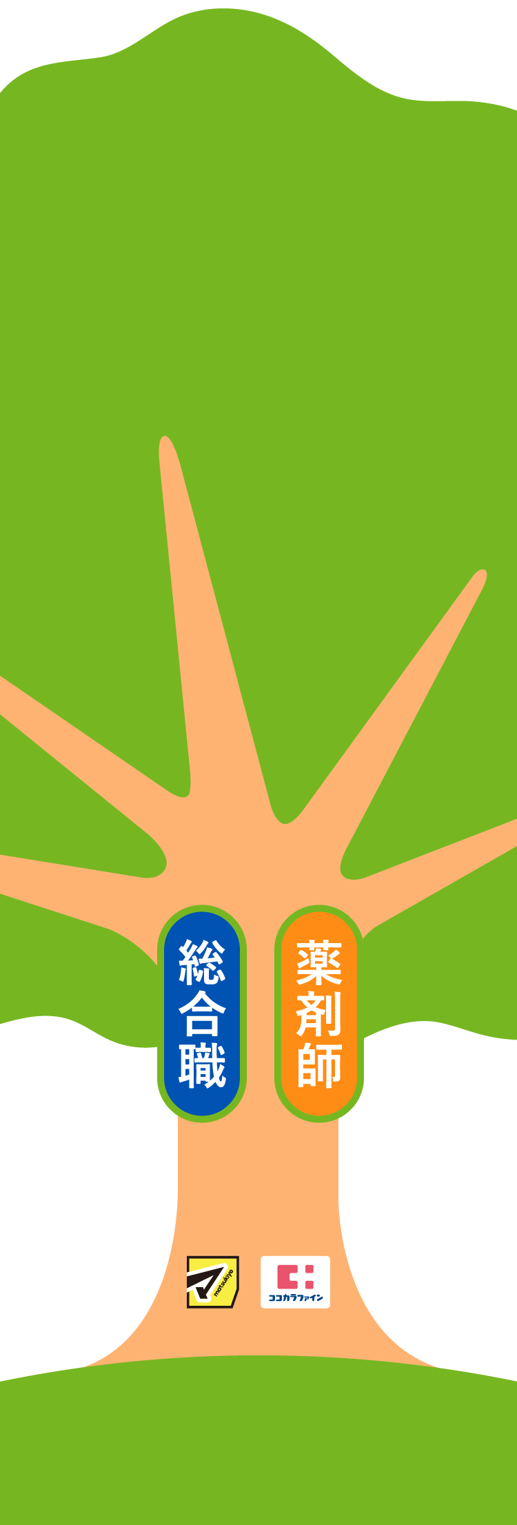総合職薬剤師