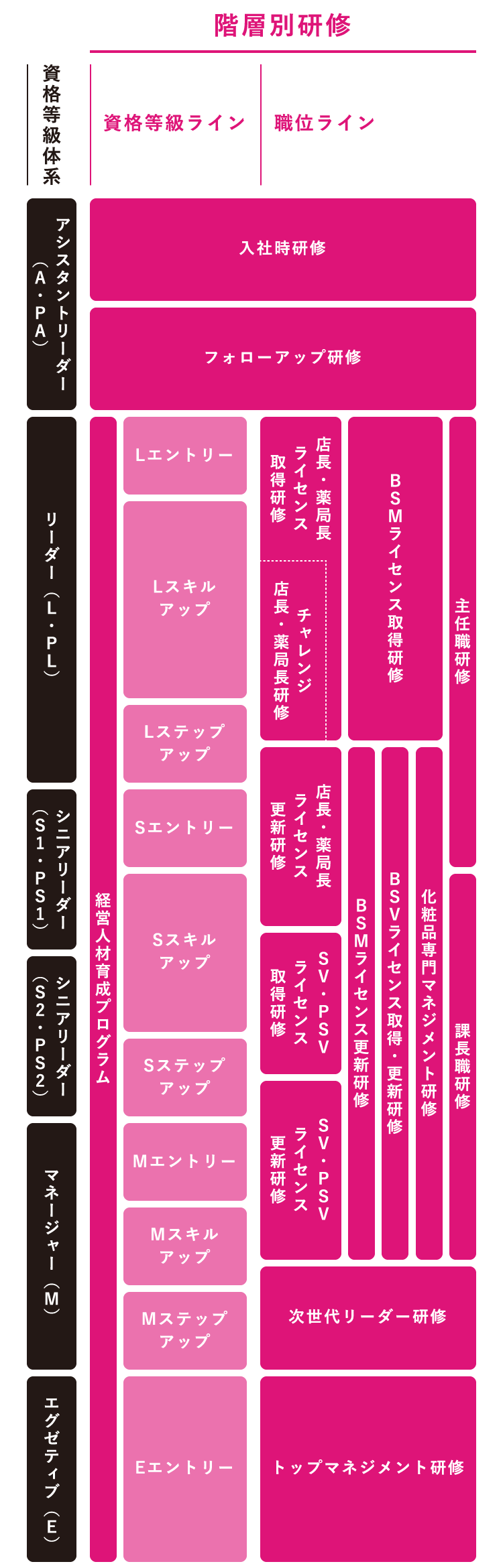 階層別研修資格等級体系資格等級ライン職位ラインアシスタントリーダー(A・PA)入社時研修フォローアップ研修リーダー(L・PL)シニアリーダー(S1・PS1)シニアリーダー(S2・PS2)マネージャー(M)エグゼティブ(E)経営人材育成プログラムLエントリーLスキルアップLステップアップSエントリーSスキルアップSステップアップMエントリーMスキルアップMステップアップEエントリー店長・薬局長ライセンス取得研修チャレンジ店長・薬局長研修BSMライセンス取得研修主任職研修店長・薬局長ライセンス更新研修SV・PSVライセンス取得研修SV・PSVライセンス更新研修BSMライセンス更新研修BSVライセンス取得・更新研修化粧品専門マネジメント研修課長職研修次世代リーダー研修トップマネジメント研修